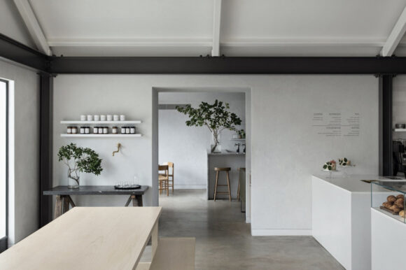 Paperwhite Studio Carissa’s – Paperwhite Studio